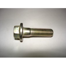 Болт М10х35 с фланцем зад. хода КПП 4593781167-п29 Красная Этна