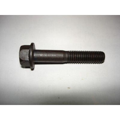 Болт М8х1,25х45 с фланцем распредвала 406 дв. 406-1003047-п Красная Этна
