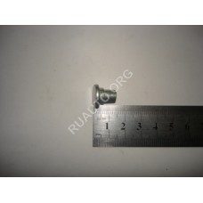 Болт М10х1,25х13 ось петли кап. под звезд. 2110 21100-8407038-108 БелЗАН