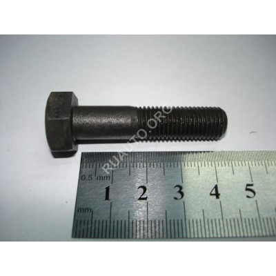 Болт М10х1,25х45 шкива распредвала 2110 21120-1006058-008 БелЗАН