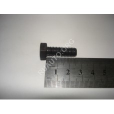 Болт М8х1,25х25 шаровой опоры ВАЗ 00001-0060436-308 БелЗАН