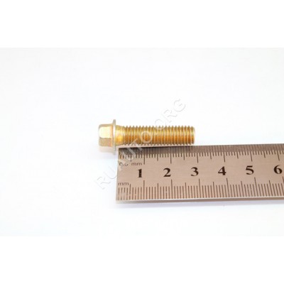 Болт М8х1,25х30 крышки корп.угл.ред. КАМАЗ 00000-0853354-009 БелЗАН