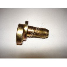 Болт-эксцентрик регул. стояночн.тормоза 12-3508164