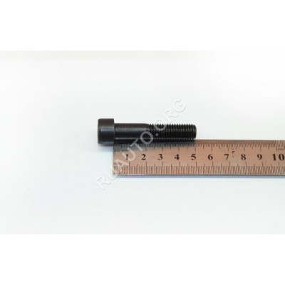 Винт М10х50 c внутренним шестигранником 00001-7002286-208 БелЗАН