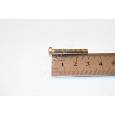 Винт М4х30 цилиндр. крест. регулятора напряжения 2105 00001-0032698-019 БелЗАН