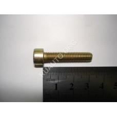 Винт М6х30 с внутренним шестигранником опоры зерк.Газ 4599522144