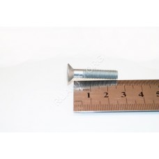 Винт М6х30 потай. крест. 00001-0033019-019 БелЗАН