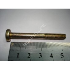 Винт М6х55 цилиндр. крест. поручня 2110 00001-0032773-118 БелЗАН
