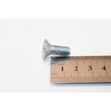 Винт М8х1,25х20 потай. крест. двери 00001-0033035-118 БелЗАН